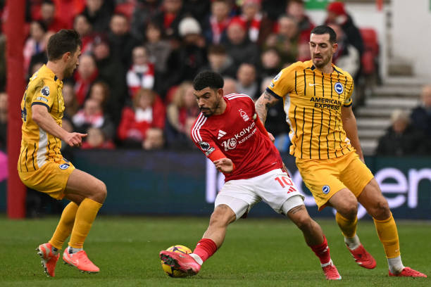 在近日的足 在近日的足